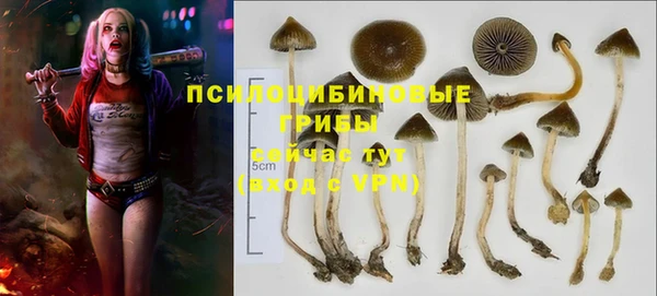 бутик Горно-Алтайск